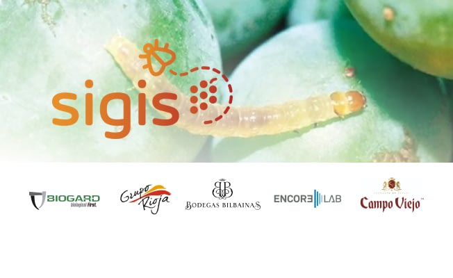 Biogard - Proyecto SIGIS: Sistema de gestión  inteligente de confusión sexual para Lobesia botrana en viñedos de la Rioja